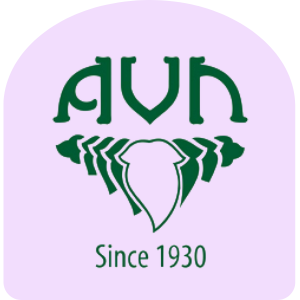 AVN logo